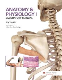 Human Anatomy & Physiology I Laboratory BSC 2085L Lab Manual Miami  Dade-Kendall