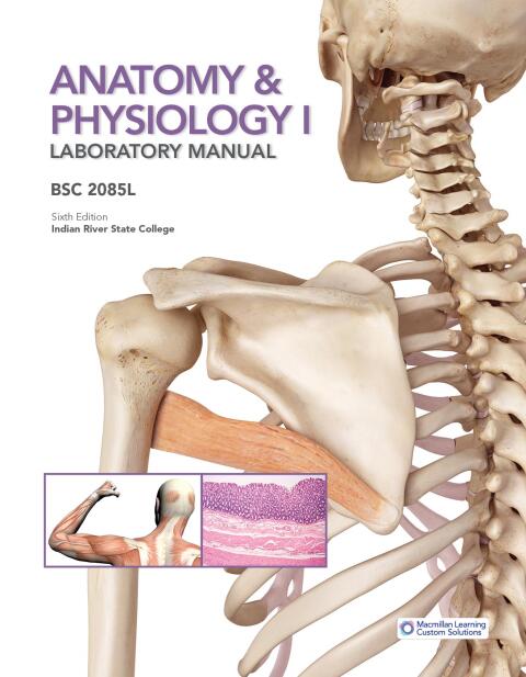 Cover image for book Anatomy & Physiology I Laboratory Manual BSC 2085L - Indian River State College