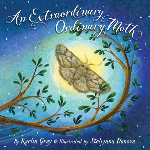 Cover image for book An Extraordinary Ordinary Moth