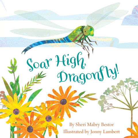 Cover image for book Soar High, Dragonfly