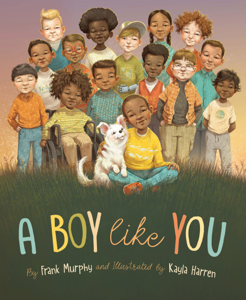 Cover image for book A Boy Like You