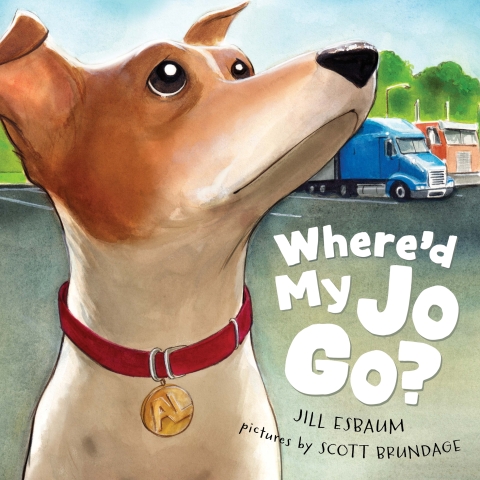 Cover image for book Where'd My Jo Go?