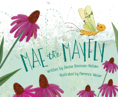 Cover image for book Mae the Mayfly