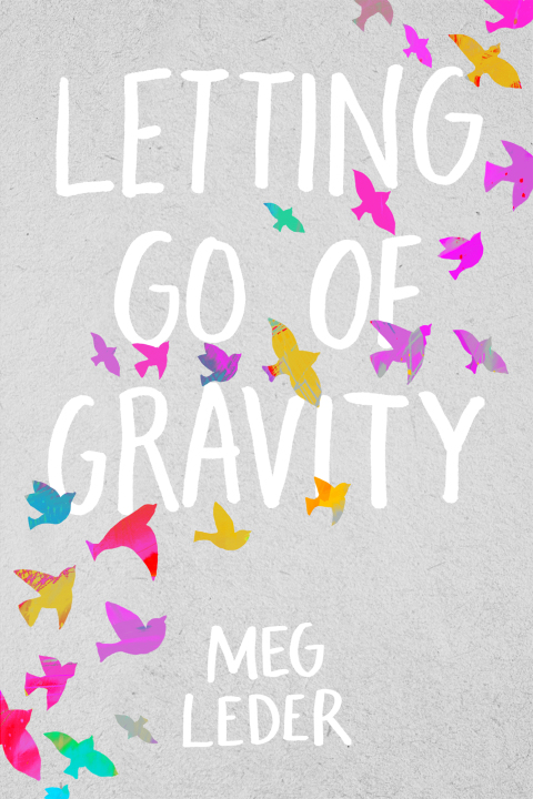 Cover image for book Letting Go of Gravity