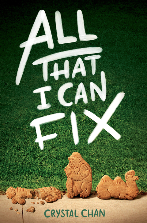 Cover image for book All That I Can Fix