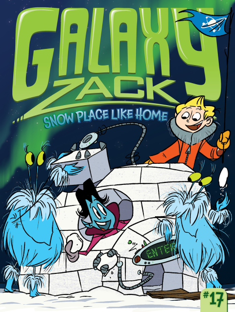 Cover image for book Snow Place Like Home