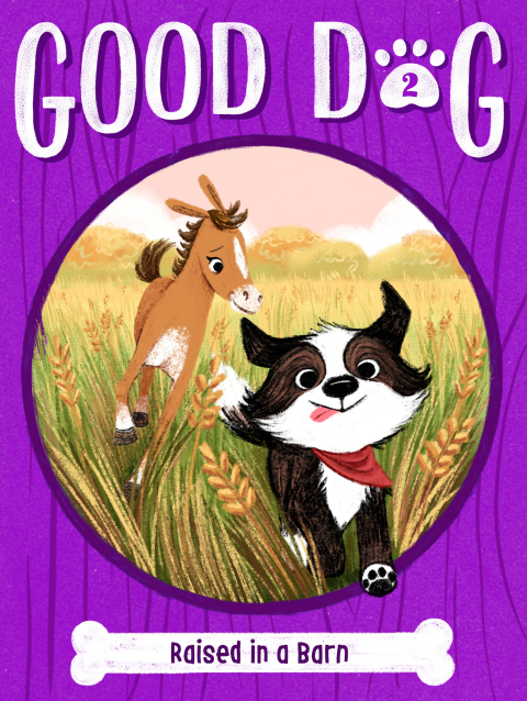 Cover image for book Raised in a Barn