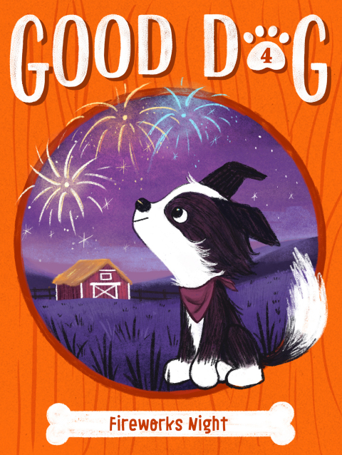 Cover image for book Fireworks Night