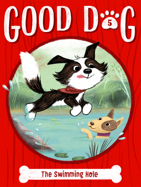 Cover image for book The Swimming Hole