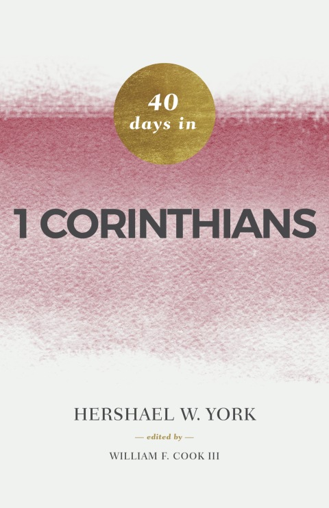 Cover image for book 40 Days in 1 Corinthians