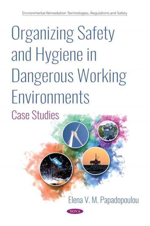 Cover image for book Organizing Safety and Hygiene in Dangerous Working Environments: Case Studies