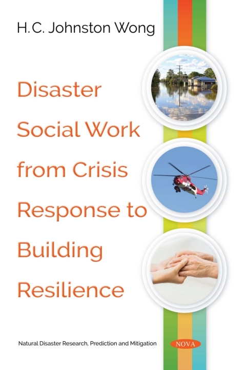 Cover image for book Disaster Social Work from Crisis Response to Building Resilience