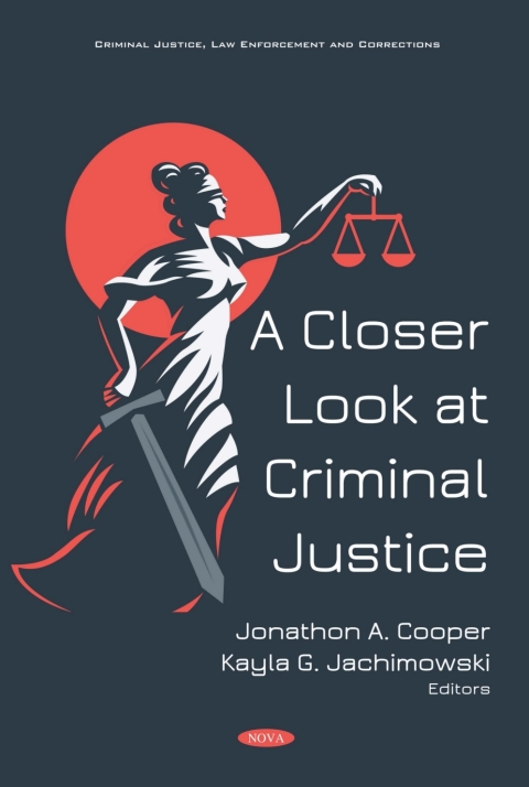 Cover image for book A Closer Look at Criminal Justice