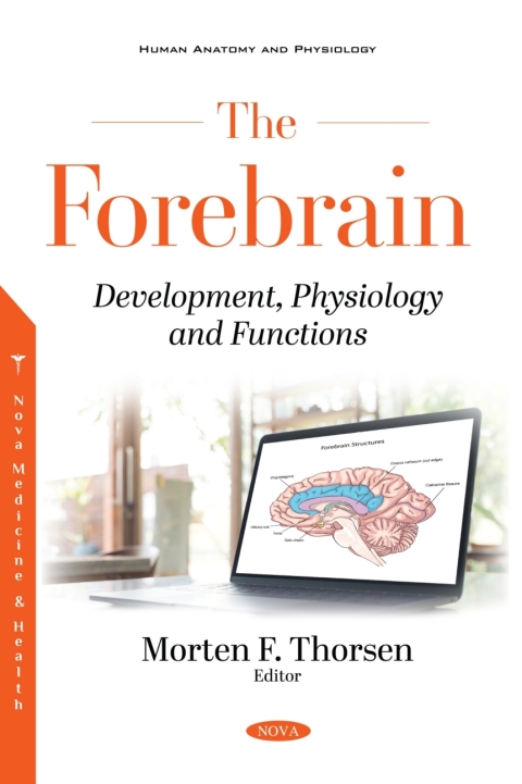 Cover image for book The Forebrain: Development, Physiology and Functions