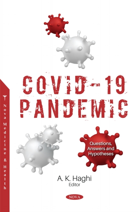 Cover image for book COVID-19 Pandemic: Questions, Answers and Hypotheses