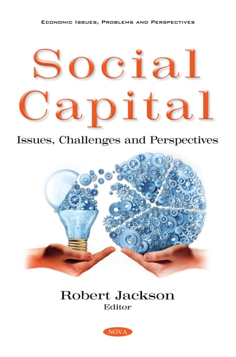 Cover image for book Social Capital: Issues, Challenges and Perspectives