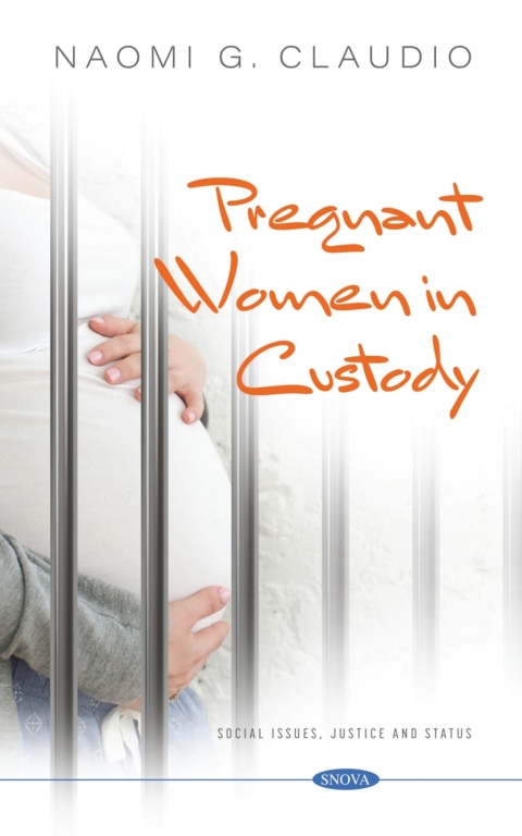Cover image for book Pregnant Women in Custody