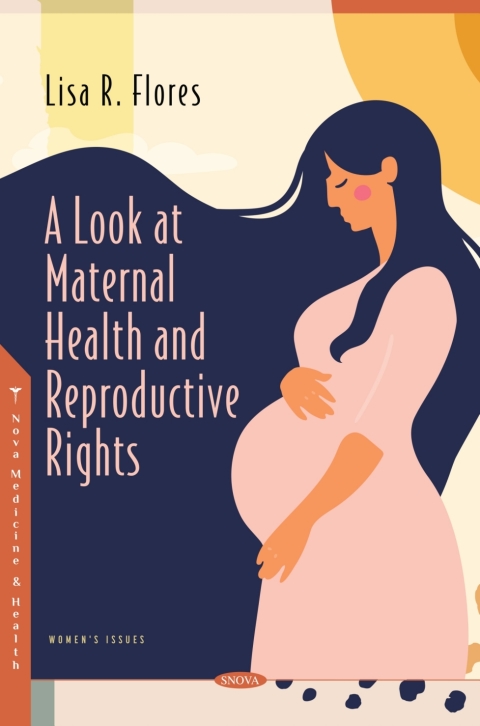 Cover image for book A Look at Maternal Health and Reproductive Rights