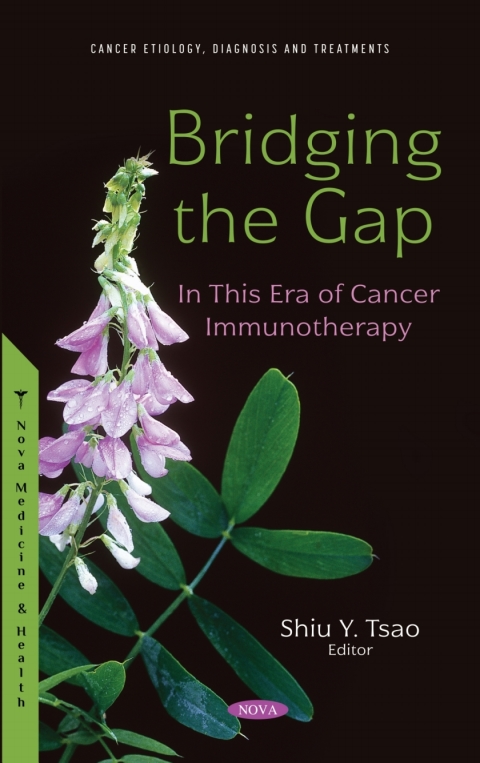 Cover image for book Bridging the Gap: In This Era of Cancer Immunotherapy