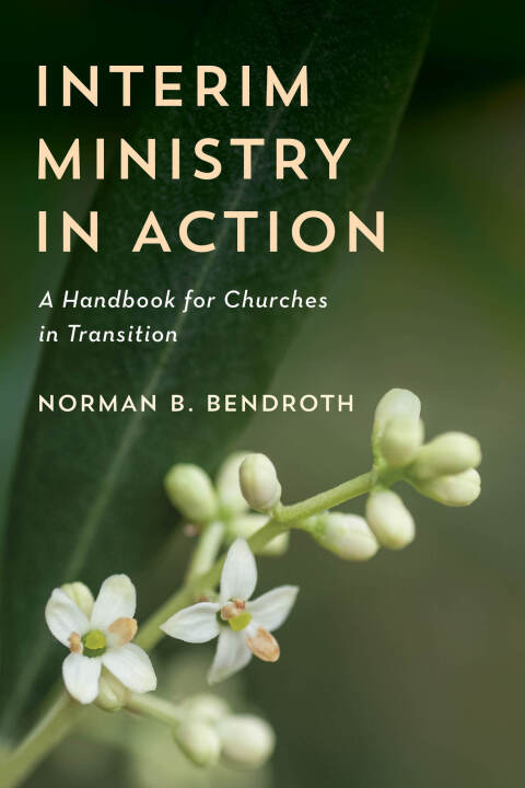 Interim Ministry in Action 