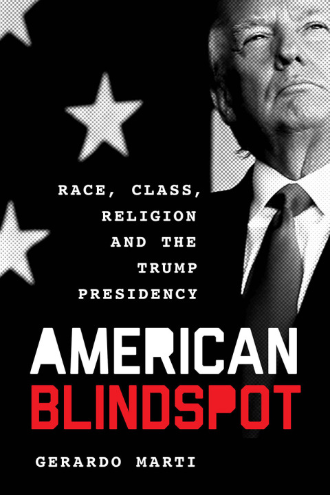 Cover image for book American Blindspot