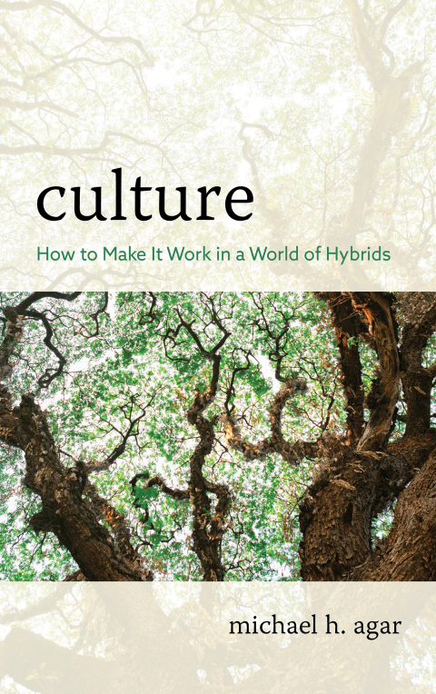 Cover image for book Culture