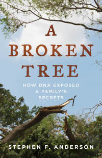 Cover image: A Broken Tree 9781538127421
