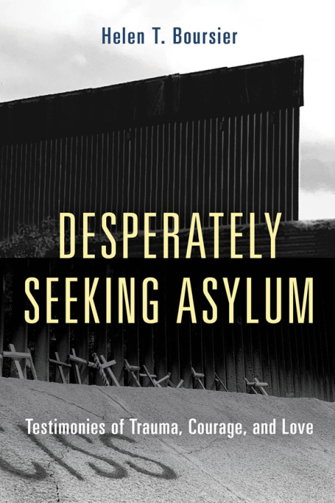Cover image for book Desperately Seeking Asylum