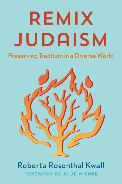 Cover image for book Remix Judaism