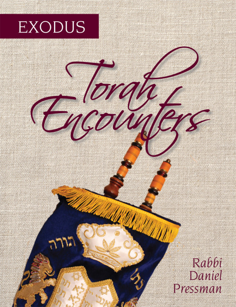 Cover image for book Torah Encounters