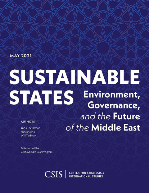 Cover image for book Sustainable States