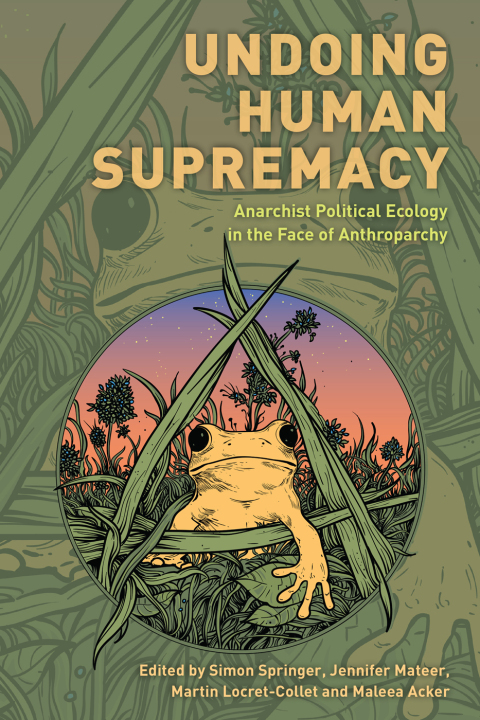 Cover image for book Undoing Human Supremacy