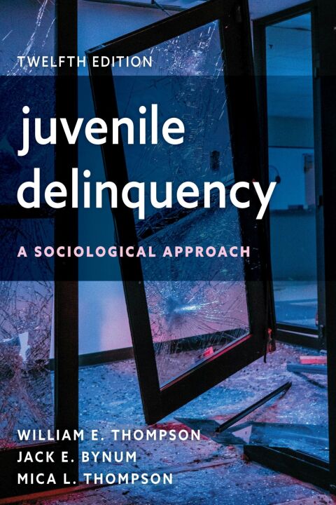 Cover image for book Juvenile Delinquency