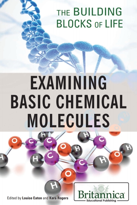 Cover image for book Examining Basic Chemical Molecules