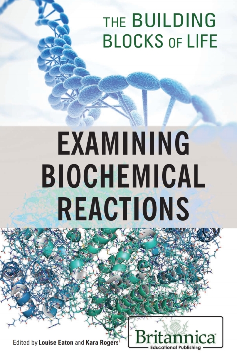 Cover image for book Examining Biochemical Reactions