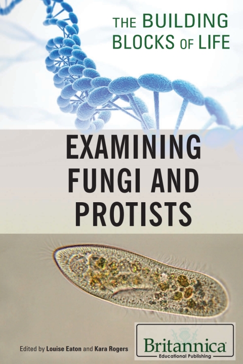 Cover image for book Examining Fungi and Protists