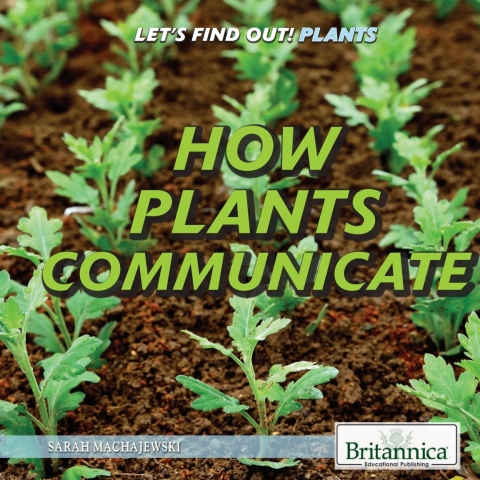 Cover image for book How Plants Communicate