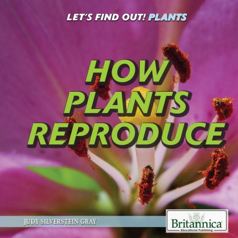 Cover image for book How Plants Reproduce