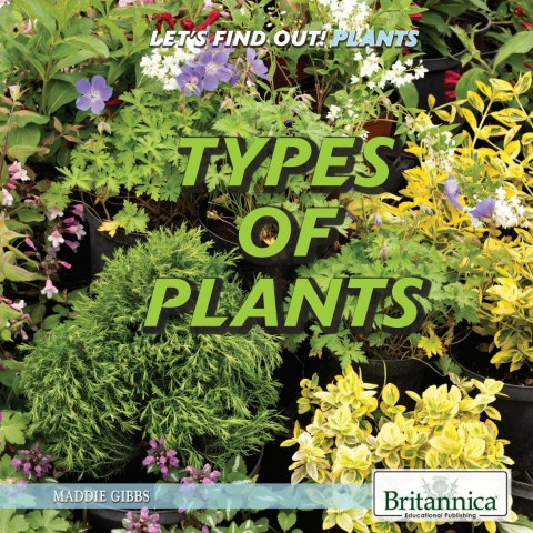 Cover image for book Types of Plants