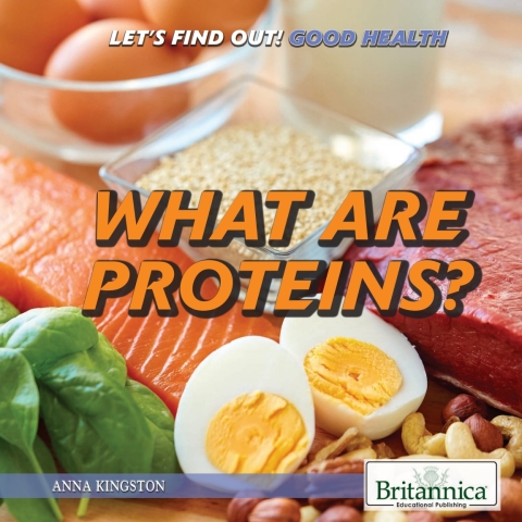 Cover image for book What Are Proteins?
