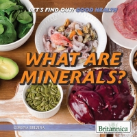 Cover image: What Are Minerals? 1st edition 9781538303023