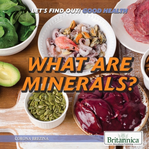 Cover image for book What Are Minerals?