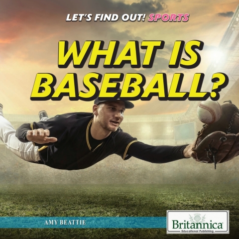 Cover image for book What Is Baseball?