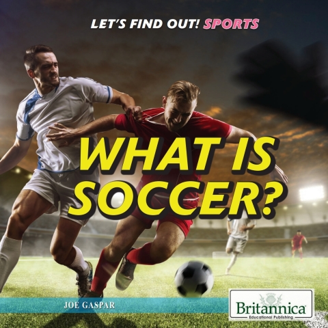 Cover image for book What Is Soccer?