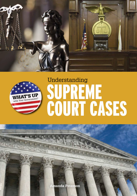Cover image for book Understanding Supreme Court Cases