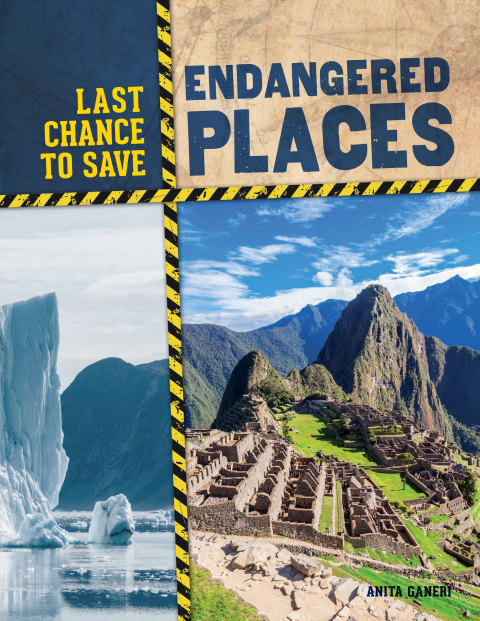 Cover image for book Endangered Places