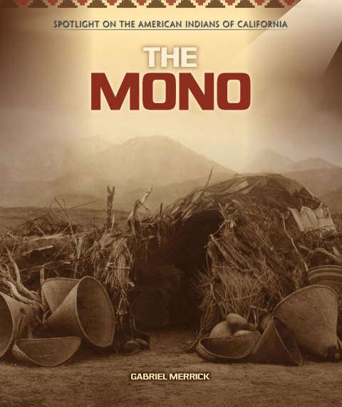 Cover image for book The Mono