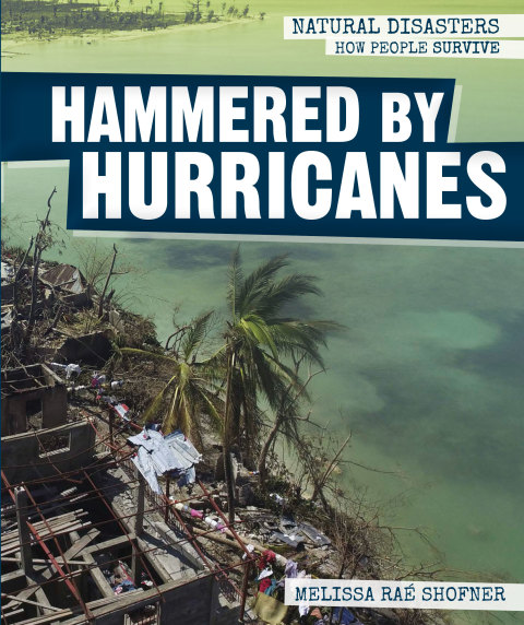 Cover image for book Hammered by Hurricanes