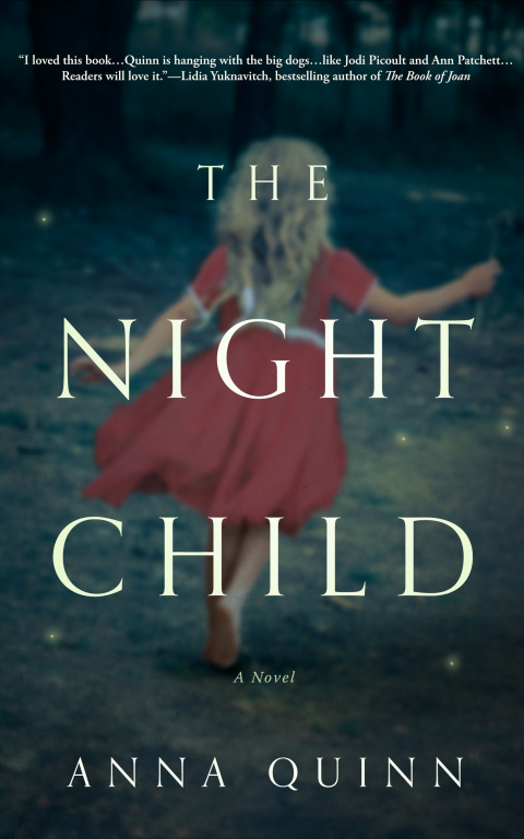 Cover image for book The Night Child
