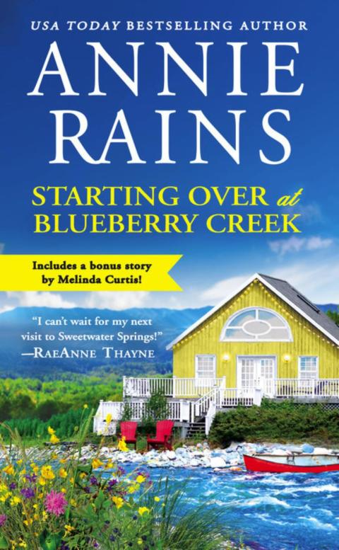 Cover image for book Starting Over at Blueberry Creek
